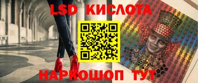 индика Пенза