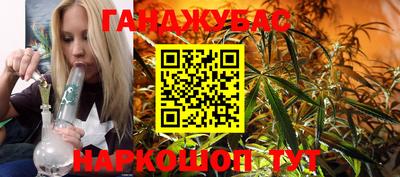 индика Пенза