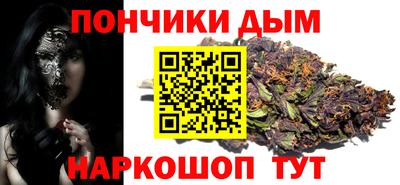 индика Пенза