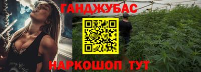 индика Пенза