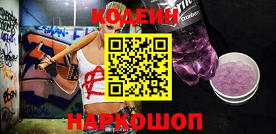 индика Пенза