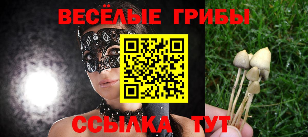 Псилоцибиновые грибы мухоморы Нефтекамск