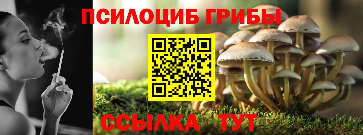 Псилоцибиновые грибы мицелий  хочу наркоту  Нефтекамск  Вход с VPN 